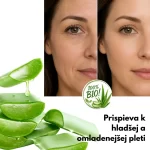 Hydratačný gél s aloe vera 300 ml na tvár a telo, Envisha by Verilaria, 300 ml – Obrázok 6